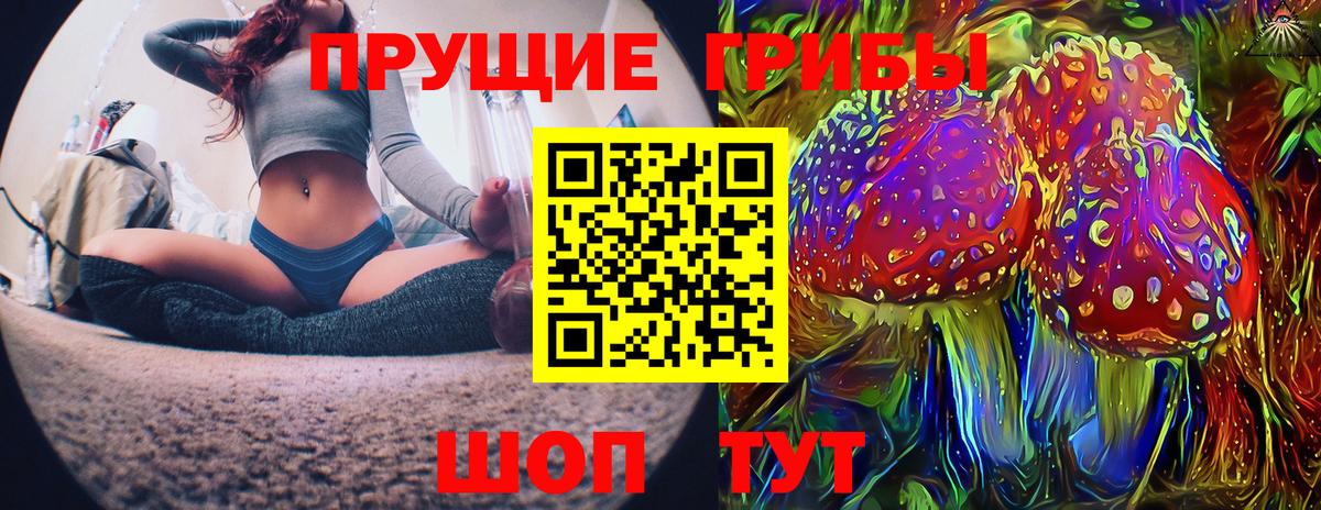 Псилоцибиновые грибы Psilocybe Йошкар-Ола